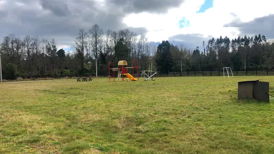 Venta Exclusivo Terreno En Futrono-coique