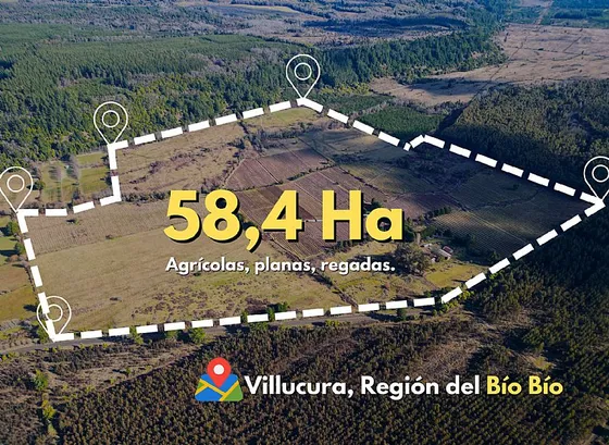  Villucura