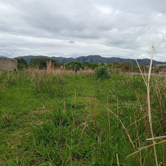 Terreno En Sector El Limon Cod. Indit-242