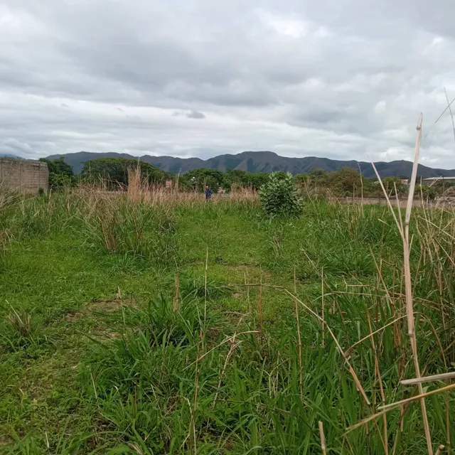 Terreno En Sector El Limon Cod. Indit-242