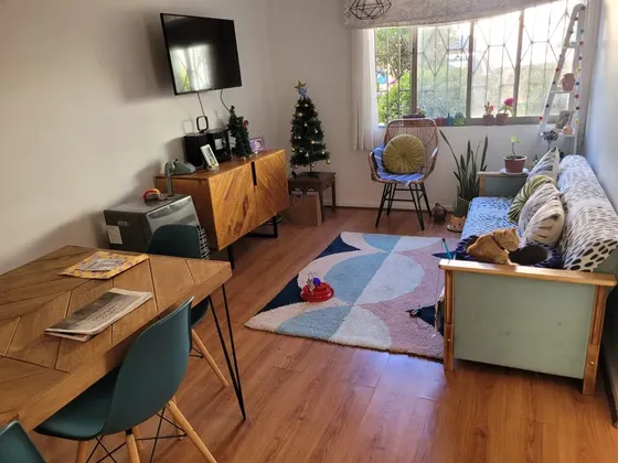 Depto. En Barrio Patrimonial, 3 Dor. Y 1 Baño.