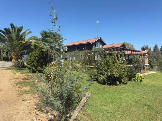 Campo De 8h 3 Roles En Cumpeo Con Casa, Plantaciones, Derech