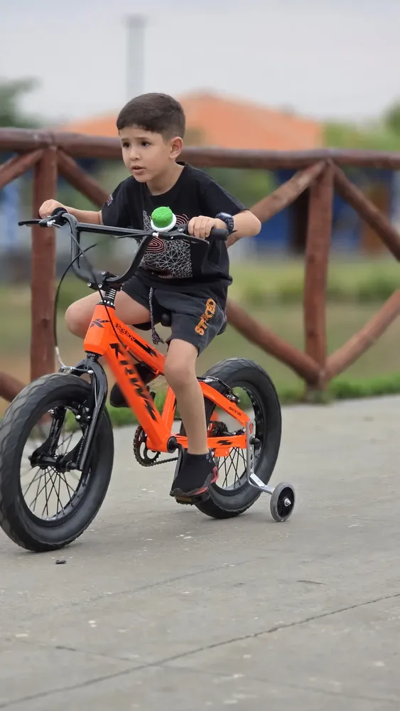 Bicicleta Krw Infantil Bigboy Aro 16 Aço Carbono Freio M16 Cor