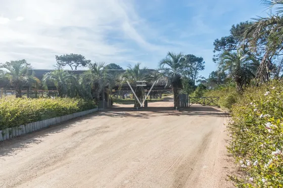 Venta Terreno Pinar Del Faro (pfg23)