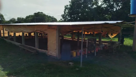 Cf Venta Finca Productiva  Municipio Libertador  Sector Barrera    7 Hectáreas