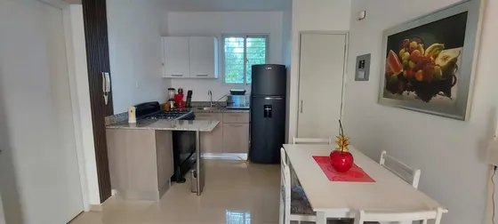 Rentó Apartamento Estudio Amueblado En Los Alamos Santiago