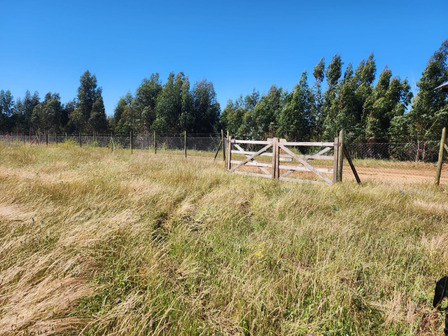Oportunidad Lote Fundo Santa Rosa De Bucalemu Oportunidad Lote Fundo Santa Rosa De Bucalemu
