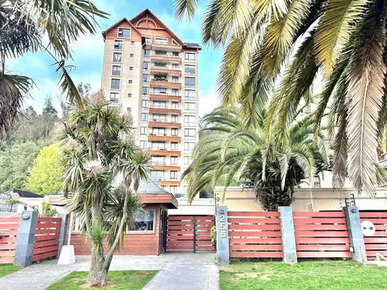 Arriendo Departamento 2 Dormitorios En San Pedro De La Paz