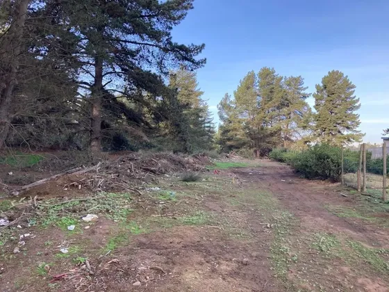 Los Pinos Parcela Subdividida Con Cinco Lotes Inscritos Cbr