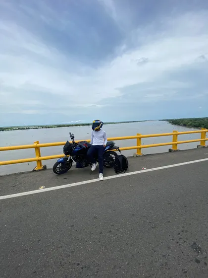 Dominar 250 Modelo 2023