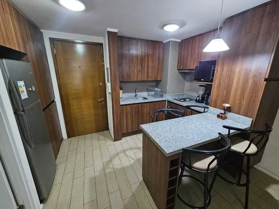 Arriendo Departamento (101109)