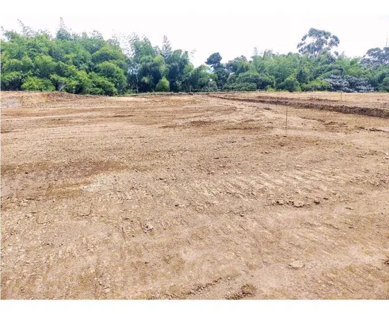 Lotes En Venta En Circasia