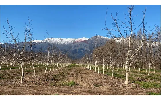 Parcela De Agrado 5000 Mts Sin Comisión
