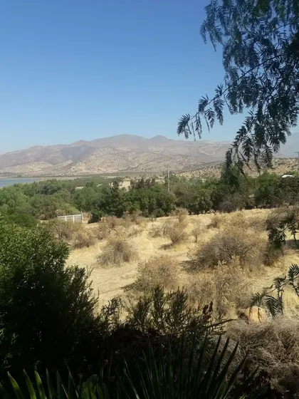 Parcela Calerías De Batuco 5000m2 Luz Y Agua, Terreno Plano