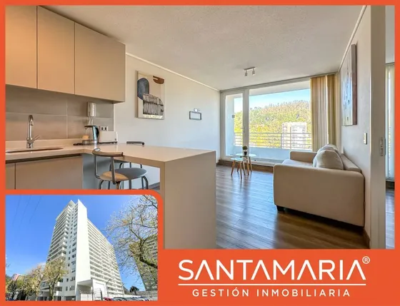 Arriendo Dpto. Amoblado 1 Dormitorio Salas, Concepción