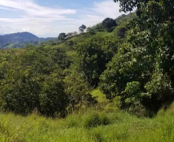 Vendo Terreno En Sevilla Valle