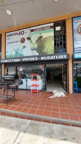 Venta De Fondo De Comercio De Carniceria En C.c Kiffa, Agua Blanca Rp