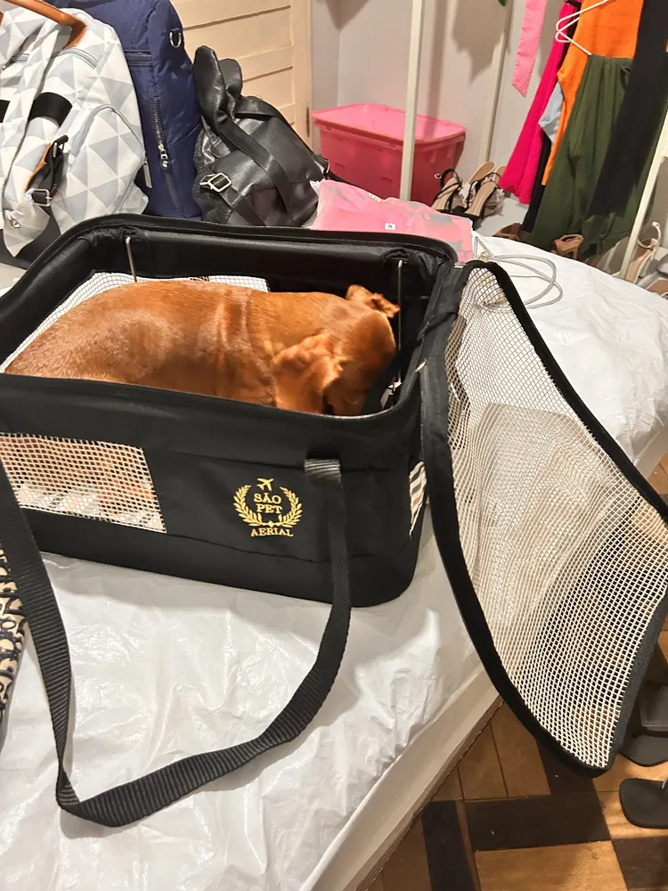 Bolsa Transporte Viagem São Pet Azul Cor Preta 43x31,5x20 Cm - Imagem 4