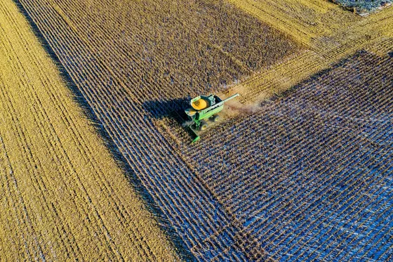 Campo 100% Agrícola De 232 Has Coronel Arnold