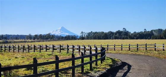Agrícola En Venta En Puerto Varas