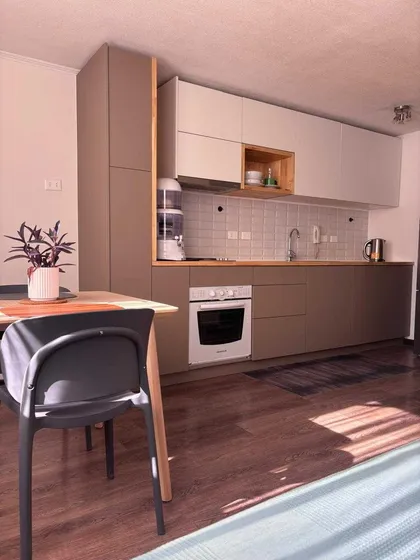 Arriendo Depto Un Ambiente Cercano A Metro (95155)