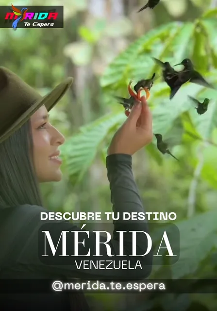 Viajes Turísticos A Mérida 