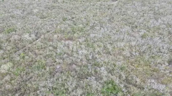 Terreno En Venta Misnebalam Progreso
