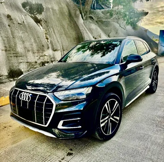 Audi Q5 2.0 L 45 Tfsi Elite Dsg