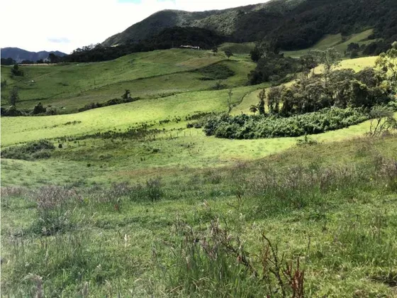 Se Vende Excelente Finca En Cogua Cundinamarca