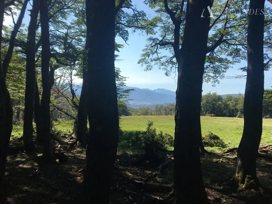 Sitio En Venta En Cisnes