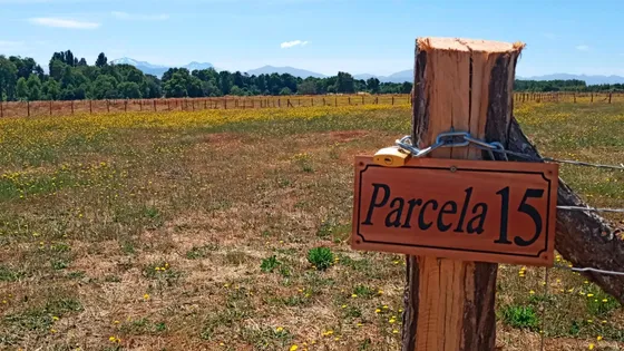Parcela N15 -de 5.000 M2 En San Isidro Alto Comuna El Carmen