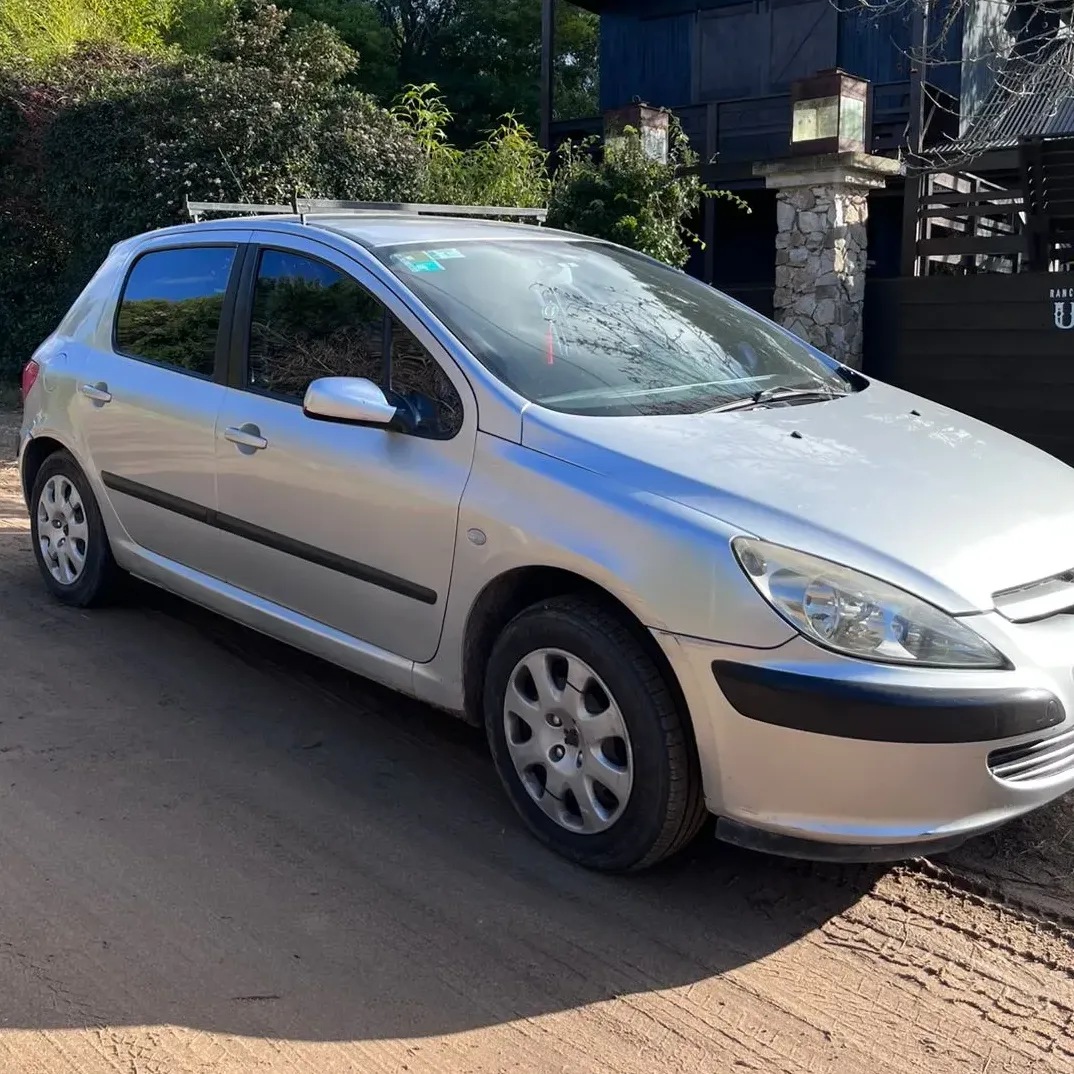 Peugeot 307 1.6 Xs