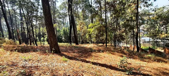 Atención Desarrolladores,  Terreno En Avandaro