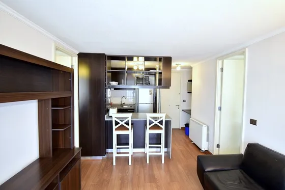 Full Amoblado, 1 Dorm, 1 Baños, Barrio Universit., Santiago