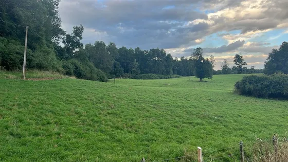 Agrícola En Venta En Paillaco