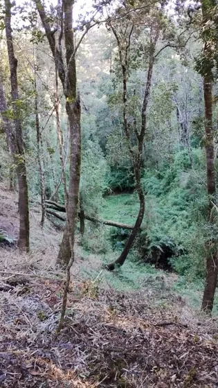 Parcela En Venta Condominio Los Aromos