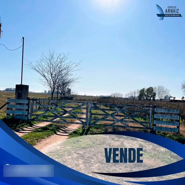 Chacra De 3 Hectareas De Campo En Polvaredas