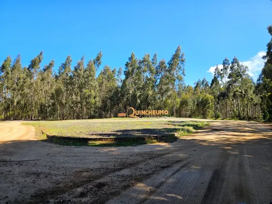 Quincheumo / Reserva Topocalma / Pichilemu