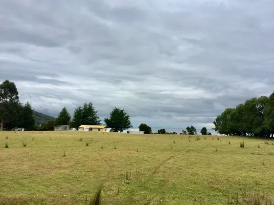 Venta Campo Agrícola, Los Lagos Id 59.280-cam
