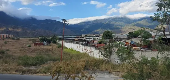 Terreno Industrial Carretera Nacional, El Ingenio 60.000 M²