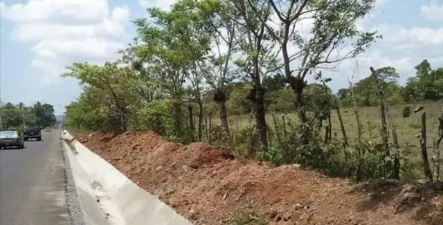 Venta De Terreno Comercial De 11 Hectáreas En Vía Principal A Boquete