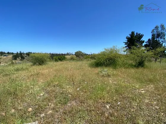 Parcela Regular En Venta - Camino A Rio Rapel- Santo Domingo