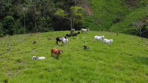 Se Vende Finca En Puerto Berrio A 7 Kilometros De La Via Principal 