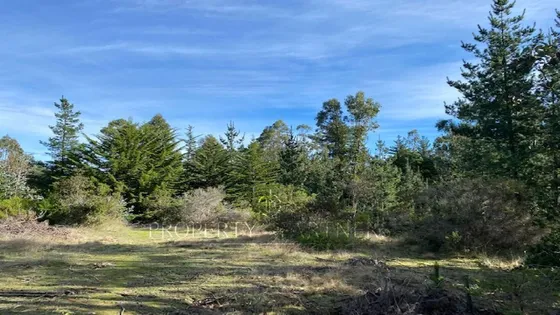 Puertecillo,  Terreno En Codominio Seguro Y Consol...