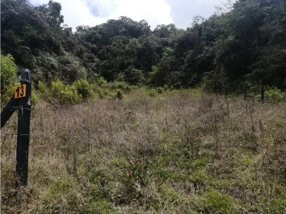 Lote En Venta Municipio De San Vicente Sector La Truchera 