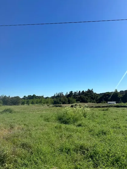 Parcelas Urbanizadas En Condominio A 10km De Angol / Renaico