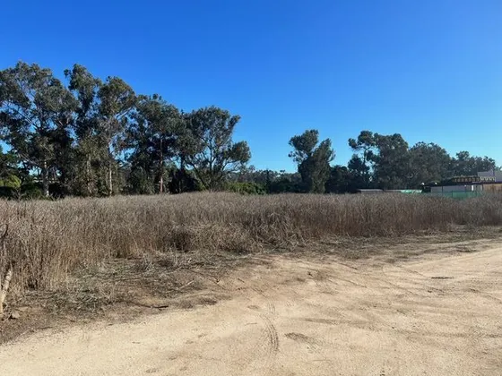 Sitio En Venta En Zapallar