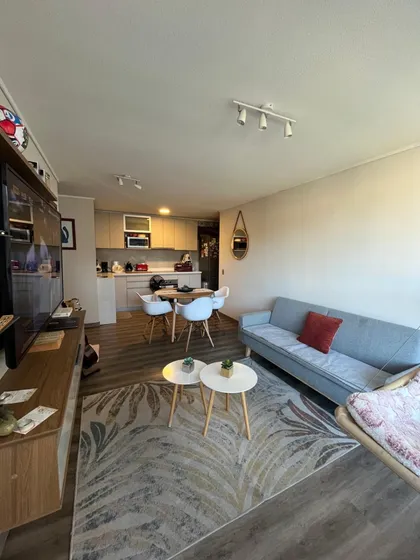 Departamento Amoblado En Concepción