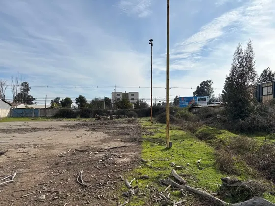 Venta De Terreno En Rengo Id 76.344-lin