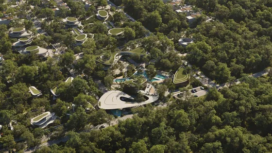 Lotes Multifamiliares Escriturados Y Con Servicios A 15 Minutos De Tulum (861)